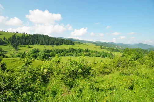Radziejowa - szczyt Beskidu Sądeckiego z wieżą widokową