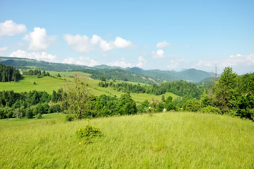 Radziejowa - szczyt Beskidu Sądeckiego z wieżą widokową