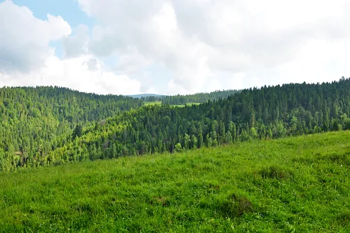 Po godzinie drogi na horyzoncie pojawiła się Radziejowa