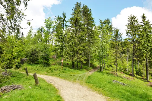 Przełęcz Żłóbki