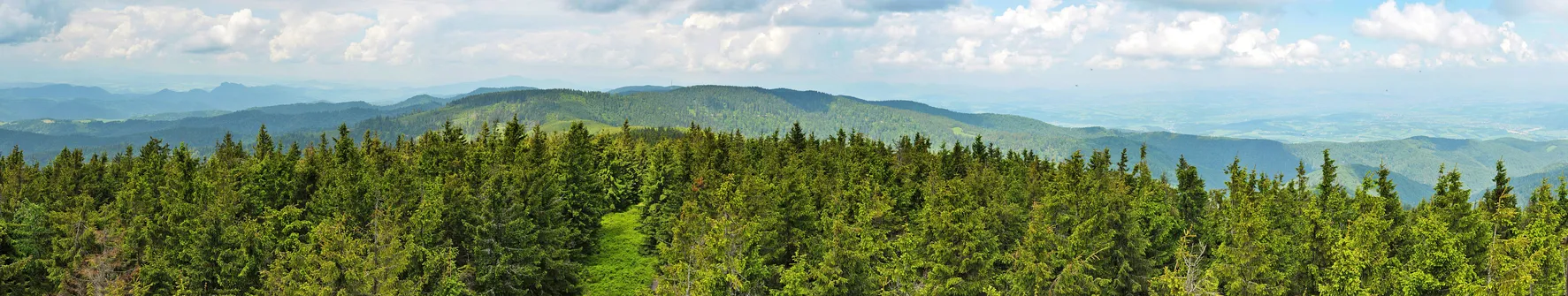 Panorama z wieży na Radziejowej