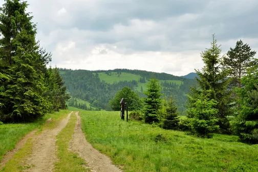 Radziejowa - szczyt Beskidu Sądeckiego z wieżą widokową