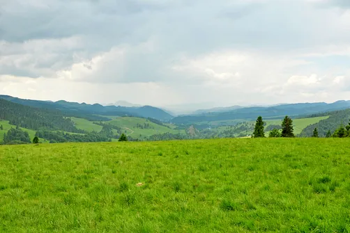 Radziejowa - szczyt Beskidu Sądeckiego z wieżą widokową