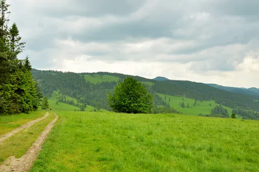 Polana przed przełęczą Rozdziela