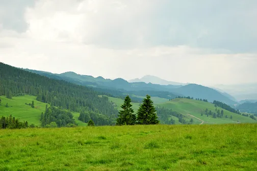 Widok na Pieniny z okolic przełęczy Rozdziela