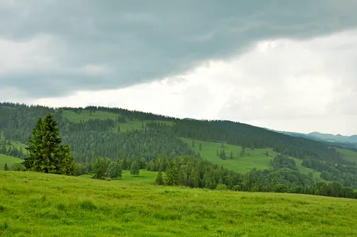 Radziejowa - szczyt Beskidu Sądeckiego z wieżą widokową