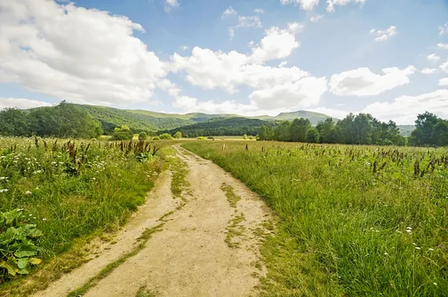 Tarnica, Halicz, Rozsypaniec - wędrówka po bieszczadzkich szczytach