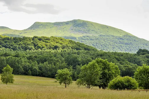 Tarnica, Halicz, Rozsypaniec - wędrówka po bieszczadzkich szczytach