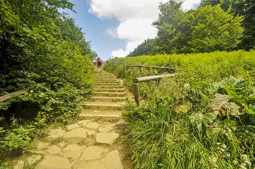 Tarnica, Halicz, Rozsypaniec - wędrówka po bieszczadzkich szczytach