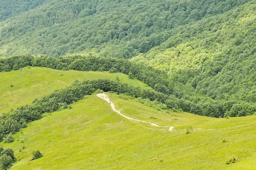 Tarnica, Halicz, Rozsypaniec - wędrówka po bieszczadzkich szczytach