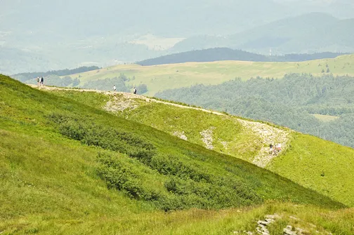 Tarnica, Halicz, Rozsypaniec - wędrówka po bieszczadzkich szczytach