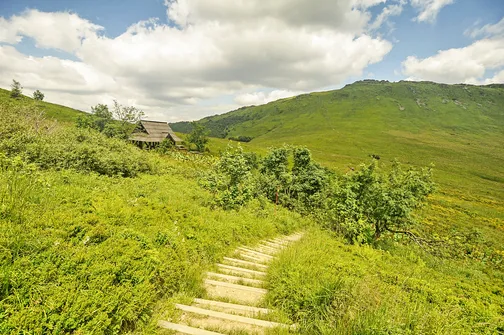 Tarnica, Halicz, Rozsypaniec - wędrówka po bieszczadzkich szczytach
