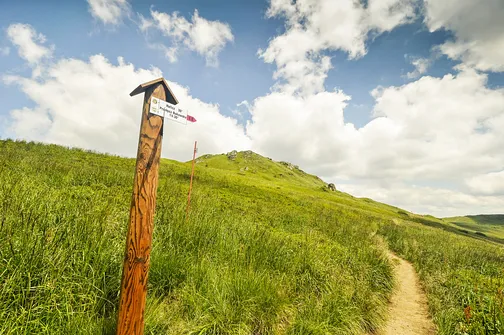 Tarnica, Halicz, Rozsypaniec - wędrówka po bieszczadzkich szczytach