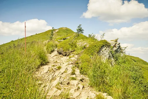 Tarnica, Halicz, Rozsypaniec - wędrówka po bieszczadzkich szczytach