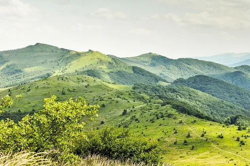 Tarnica, Halicz, Rozsypaniec - wędrówka po bieszczadzkich szczytach
