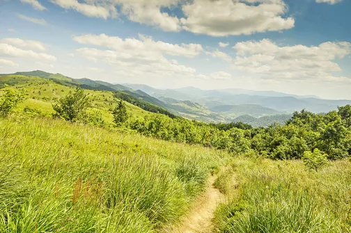 Tarnica, Halicz, Rozsypaniec - wędrówka po bieszczadzkich szczytach