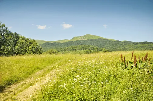 Tarnica, Halicz, Rozsypaniec - wędrówka po bieszczadzkich szczytach