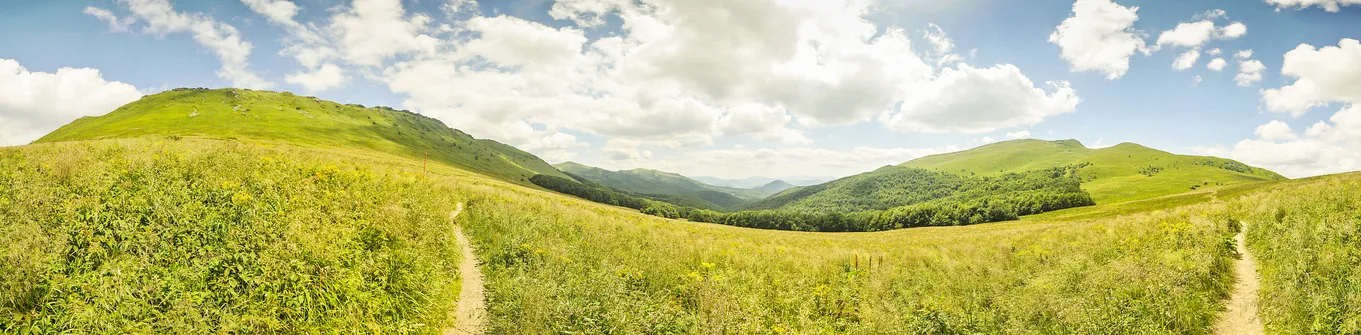 Panorama na Krzemień i Tarnicę z przełęczy Bukowskiej