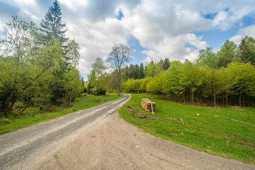Śnieżnik - trasa z Bolesławowa