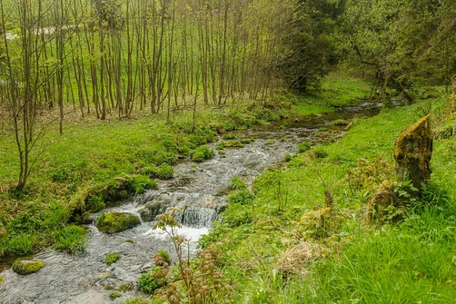 Śnieżnik - trasa z Bolesławowa
