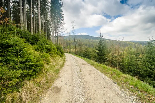 Śnieżnik - trasa z Bolesławowa