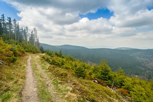 Śnieżnik - trasa z Bolesławowa
