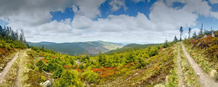Śnieżnik - trasa z Bolesławowa