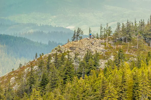 Śnieżnik - trasa z Bolesławowa