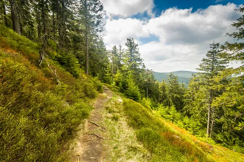 Śnieżnik - trasa z Bolesławowa