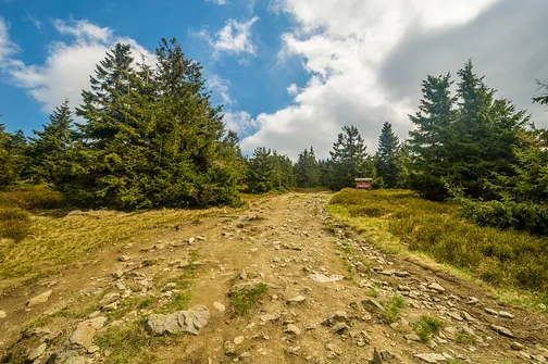 Śnieżnik - trasa z Bolesławowa