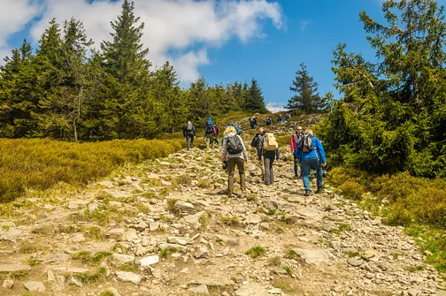 Śnieżnik - trasa z Bolesławowa