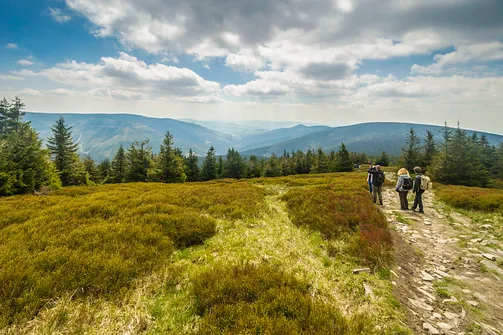 Śnieżnik - trasa z Bolesławowa