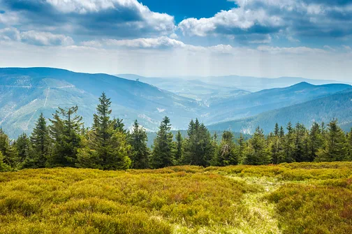 Śnieżnik - trasa z Bolesławowa