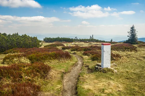 Śnieżnik - trasa z Bolesławowa