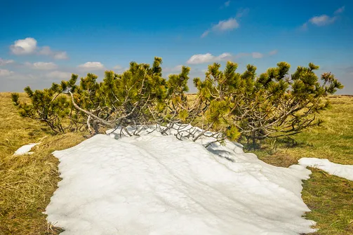 Śnieżnik - trasa z Bolesławowa