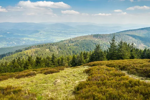 Śnieżnik - trasa z Bolesławowa