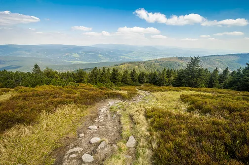 Śnieżnik - trasa z Bolesławowa