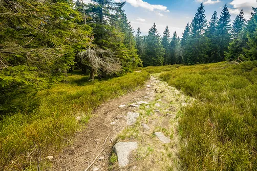 Śnieżnik - trasa z Bolesławowa
