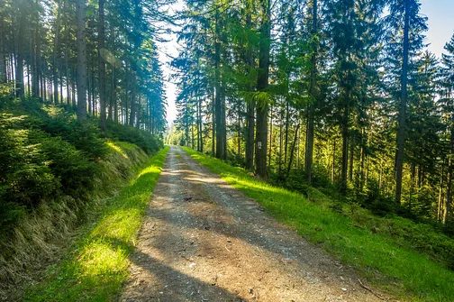 Śnieżnik - trasa z Bolesławowa