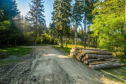 Śnieżnik - trasa z Bolesławowa