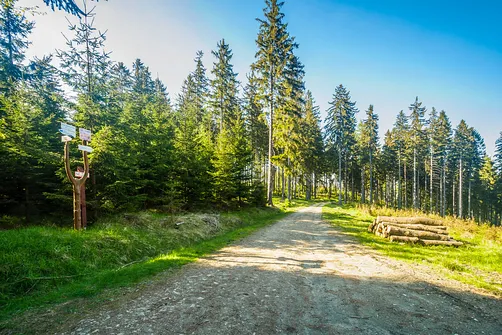 Śnieżnik - trasa z Bolesławowa