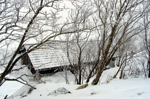 Śnieżka - zimowe wejście z Karpacza
