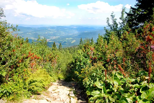 Po odwróceniu się za siebie widać jak wysoko już jesteśmy