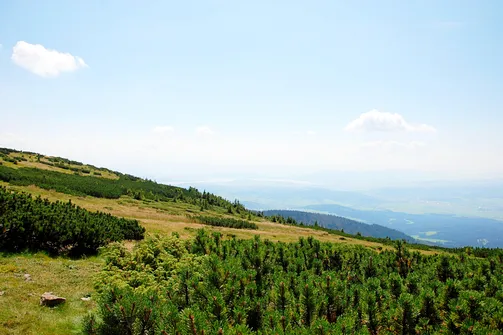 W oddali Jezioro Orawskie na Słowacji