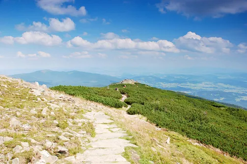 Przed nami kosodrzewina i nieznośne małe muszki