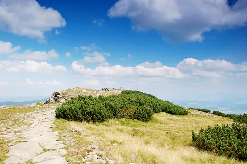 Czerwony szlak na Babią Górę