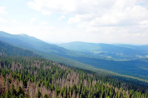 Punkt widokowy na wysokości 1450 m n.p.m.