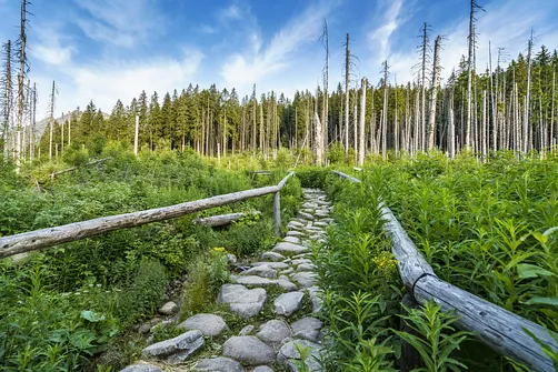 Rysy – najwyższy szczyt Polski. Relacja z wejścia, przebieg trasy i zdjęcia