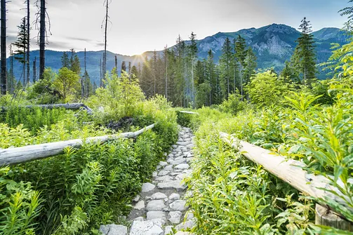 Rysy – najwyższy szczyt Polski. Relacja z wejścia, przebieg trasy i zdjęcia