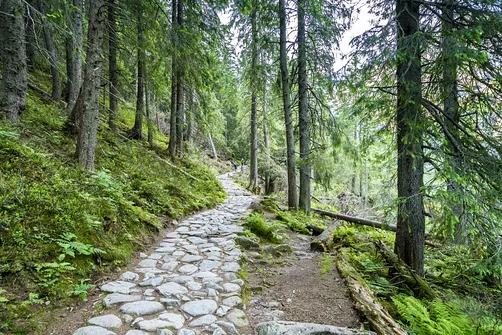 Szlak przebiega brzegiem Morskiego Oka